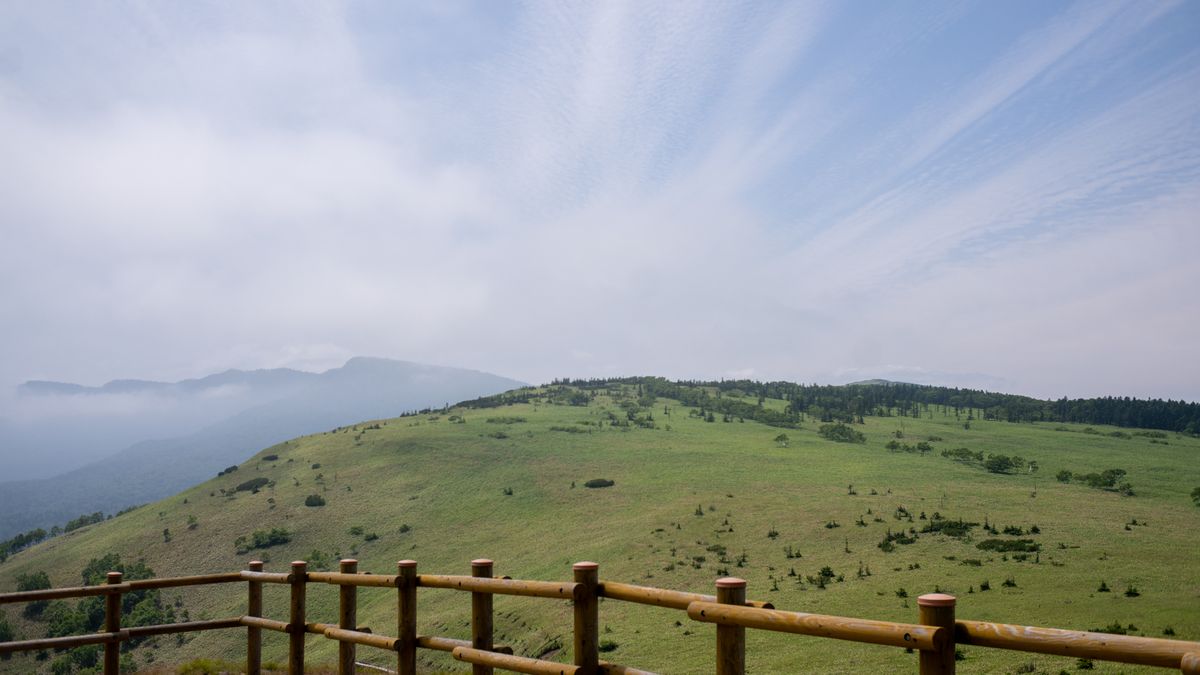 DSC02947