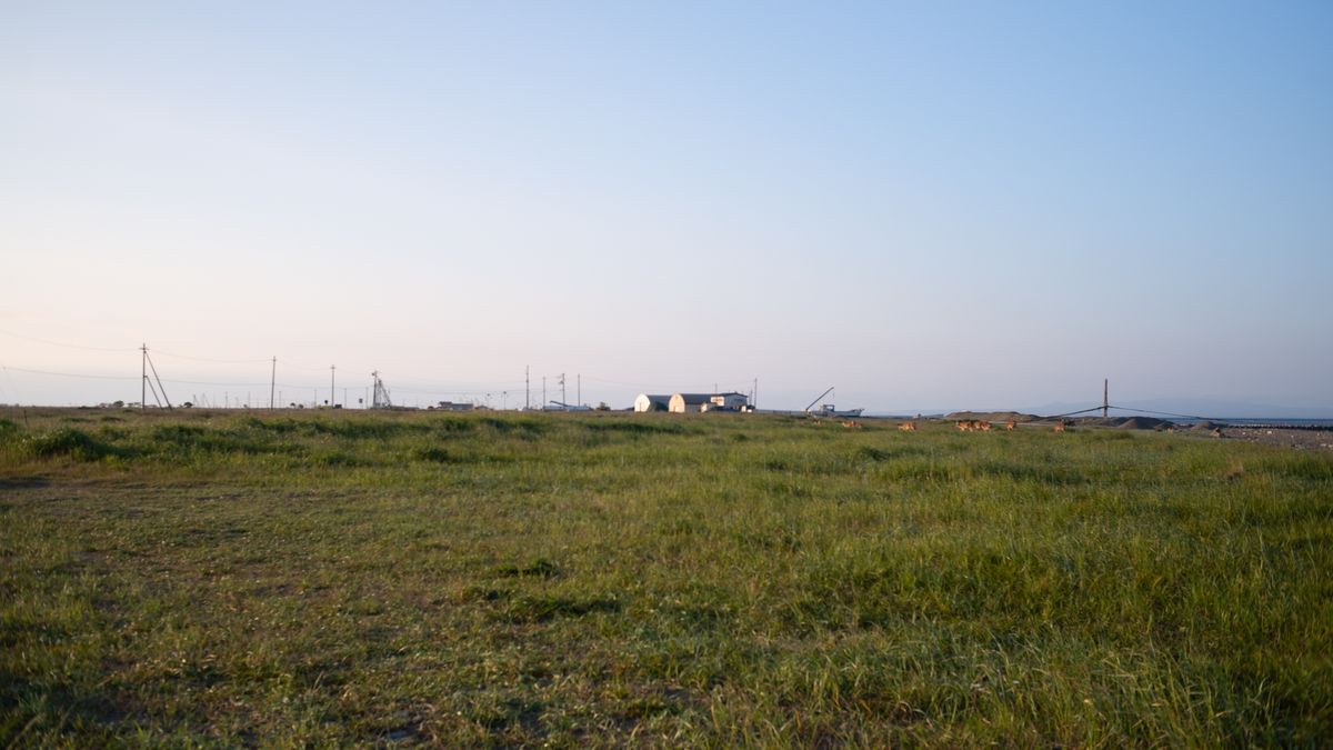 DSC03092