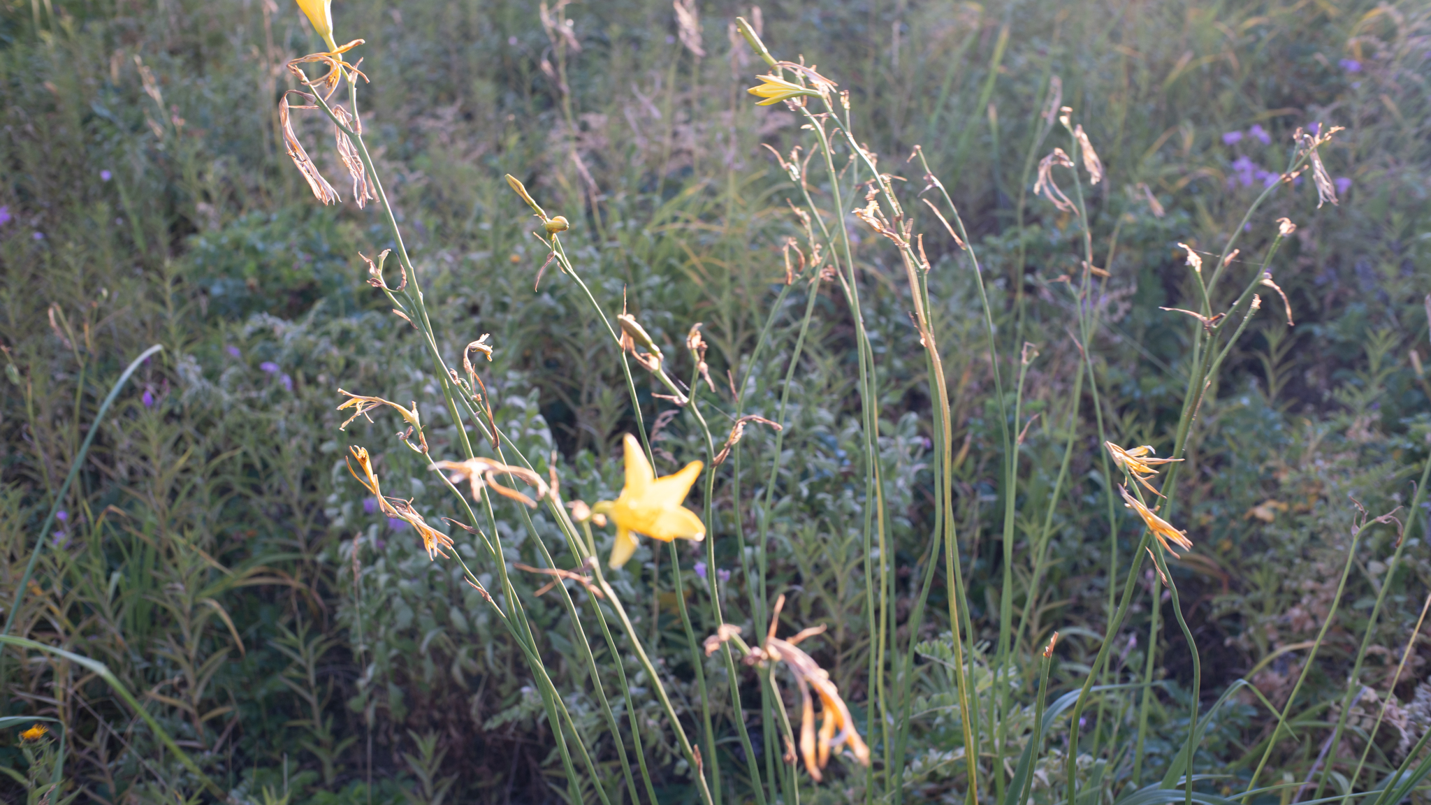 DSC03404